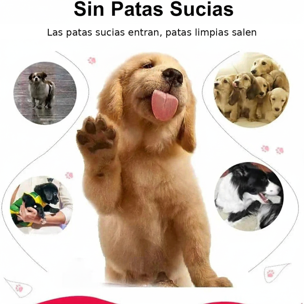 Sin patas sucias - Las patas sucias entran, patas limpias salen